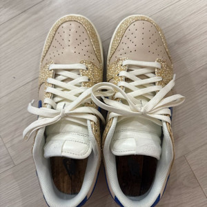 덩크 로우 베이지 265