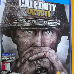 콜오브듀티 ww2 ps4 게임