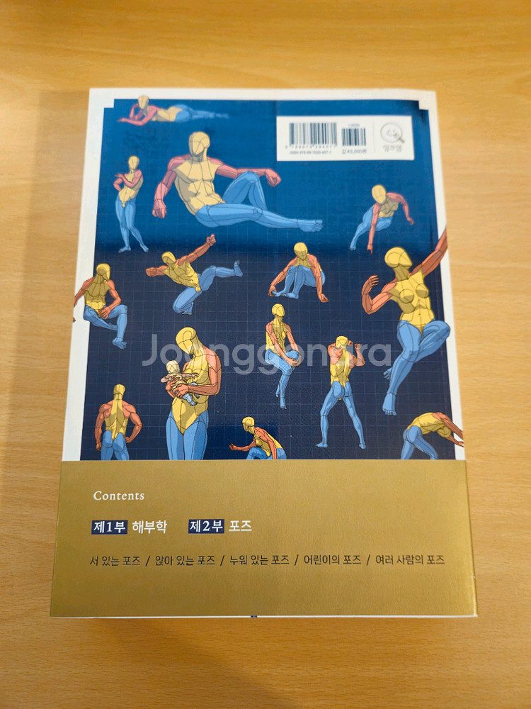 포즈의 미술 해부학 (카토 코타) 새책--1