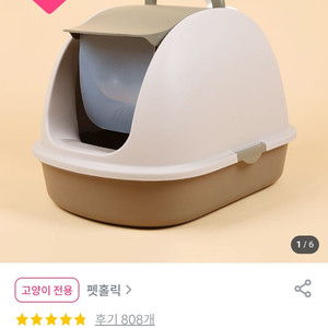 고양이 주인님 화장실