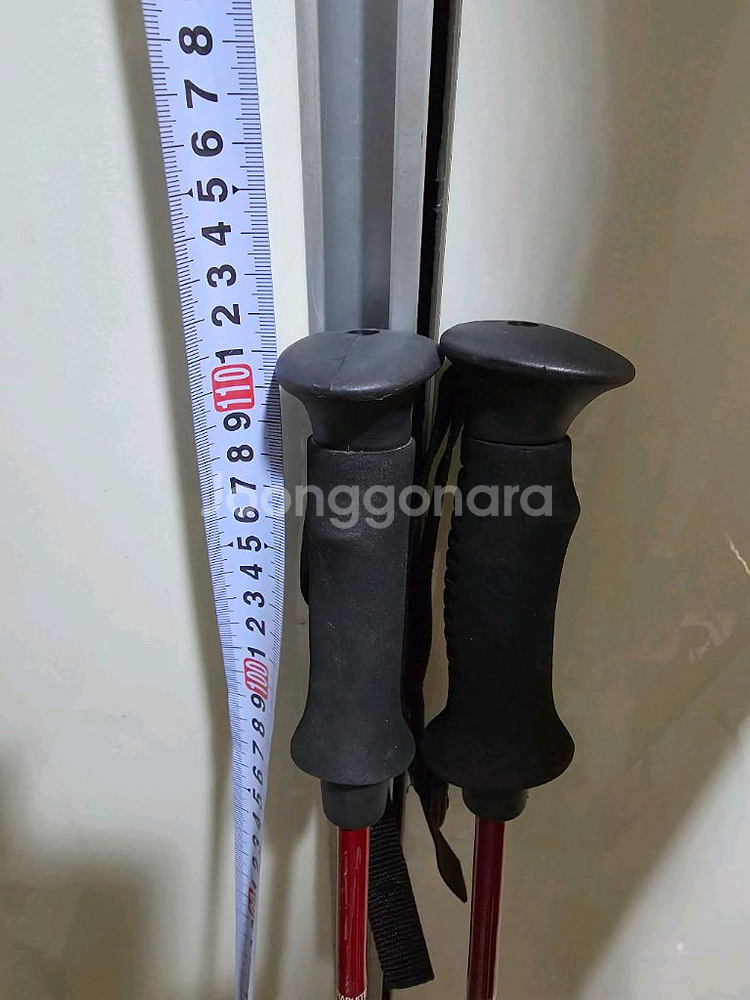 Rossignol 스키 플레이트 150cm 세트--3