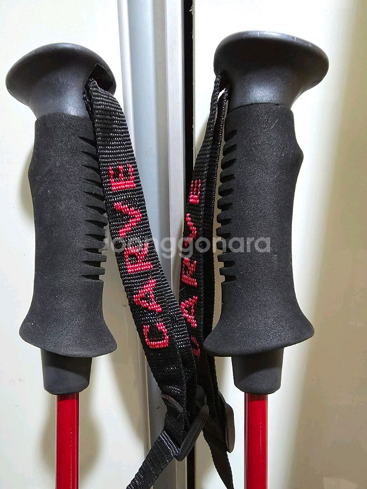 Rossignol 스키 플레이트 150cm 세트--6