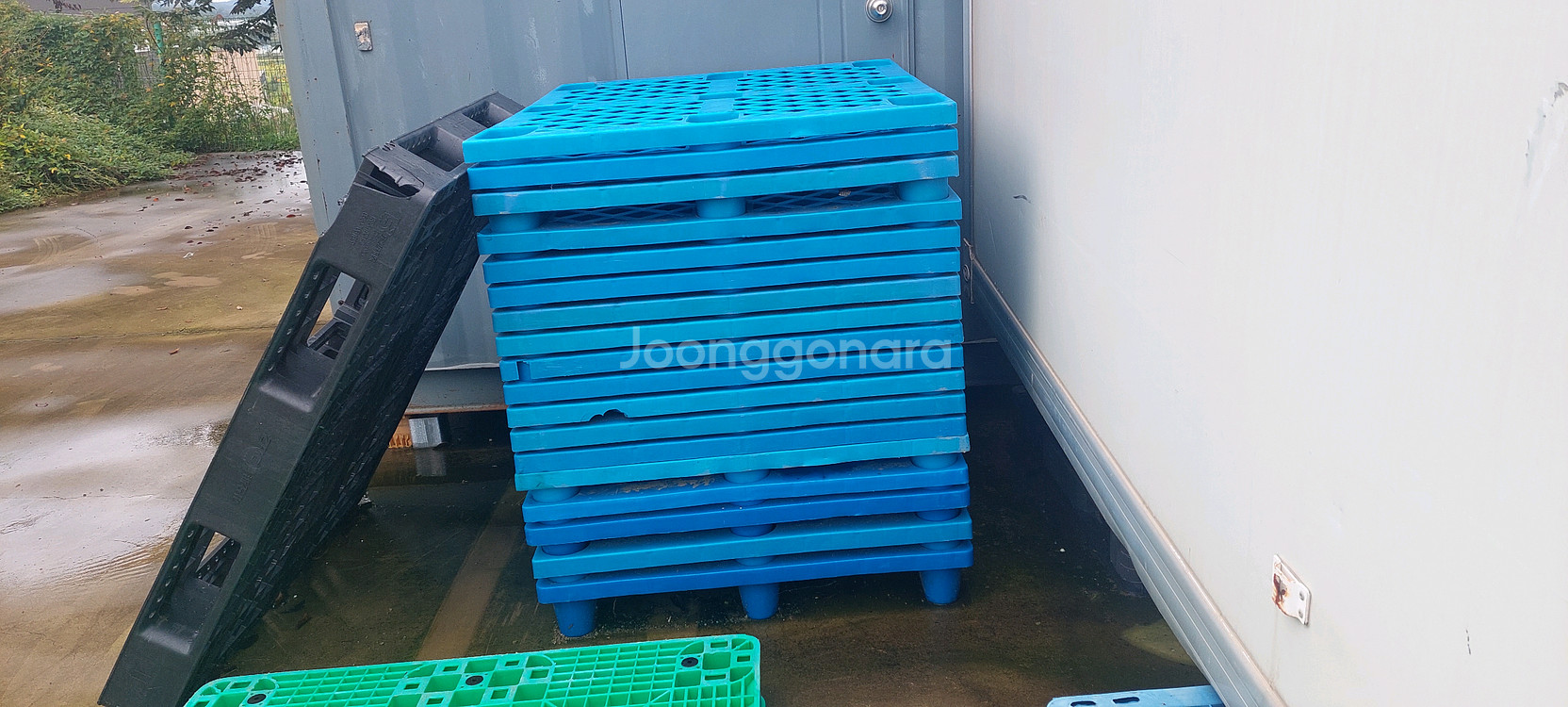 수출용 합판파렛트 프라스틱파렛트--2