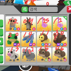 입양하세요 펫 처분합니다!!