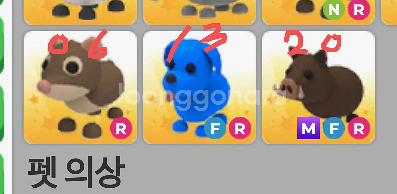 입양하세요 펫 처분합니다!!--1