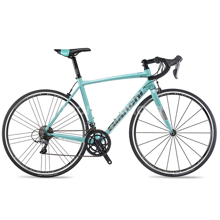 비앙키 니로네7 구합니다--0