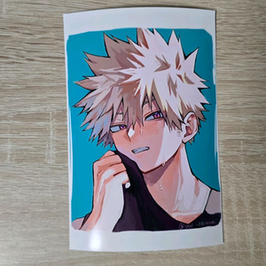 히로아카 나히아 바쿠고 카츠키 비공굿 프박 프린팅박스