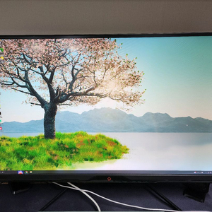 34인치 커브드 UWQHD 165hz 27인치 모니터