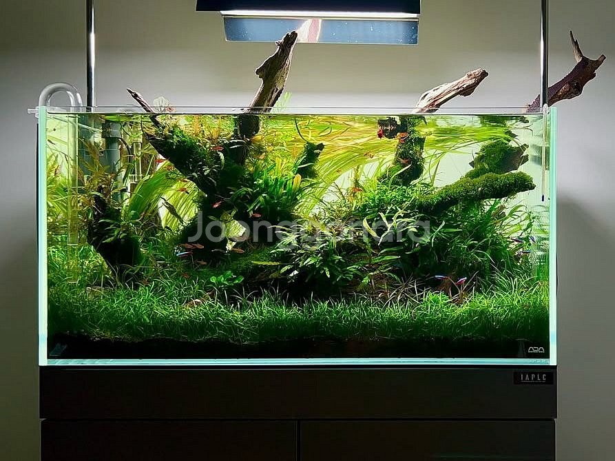 어항세팅,어항레이아웃,어항주문제작,풀세트(출장세팅)--0