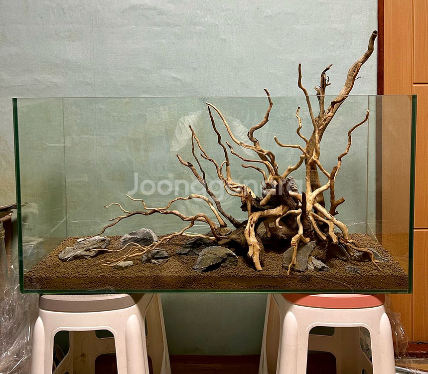 어항세팅,어항레이아웃,어항주문제작,풀세트(출장세팅)--2