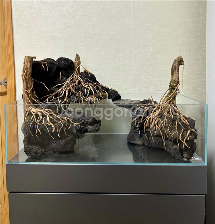 어항세팅,어항레이아웃,어항주문제작,풀세트(출장세팅)--6