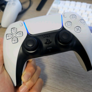 듀얼센스 컨트롤러