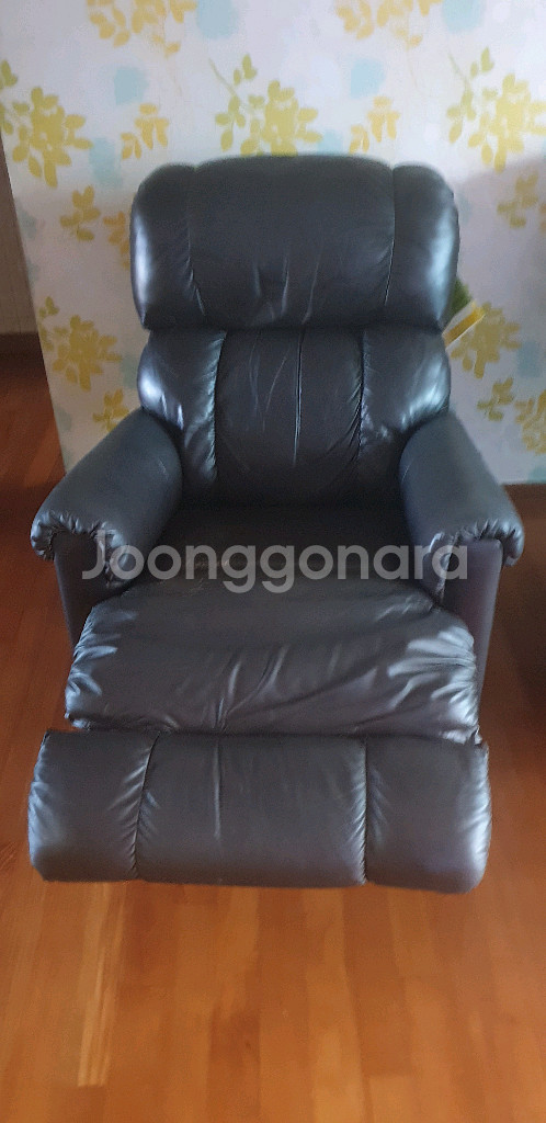 미국 레이지보이 깁슨, 조슈아, 피나클 총 3개 모두--4