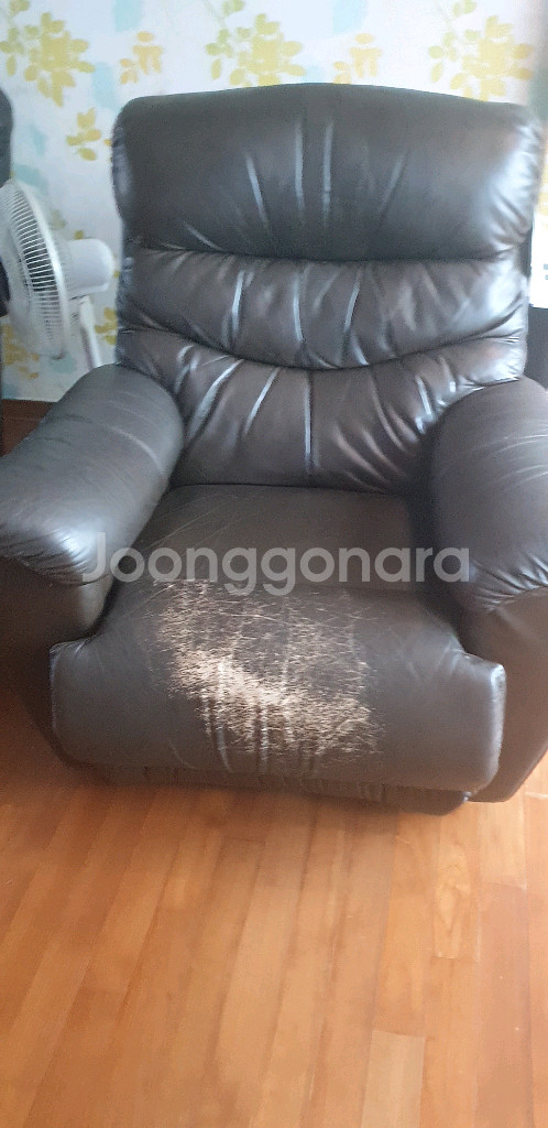 미국 레이지보이 깁슨, 조슈아, 피나클 총 3개 모두--2