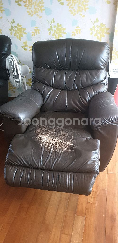 미국 레이지보이 깁슨, 조슈아, 피나클 총 3개 모두--5