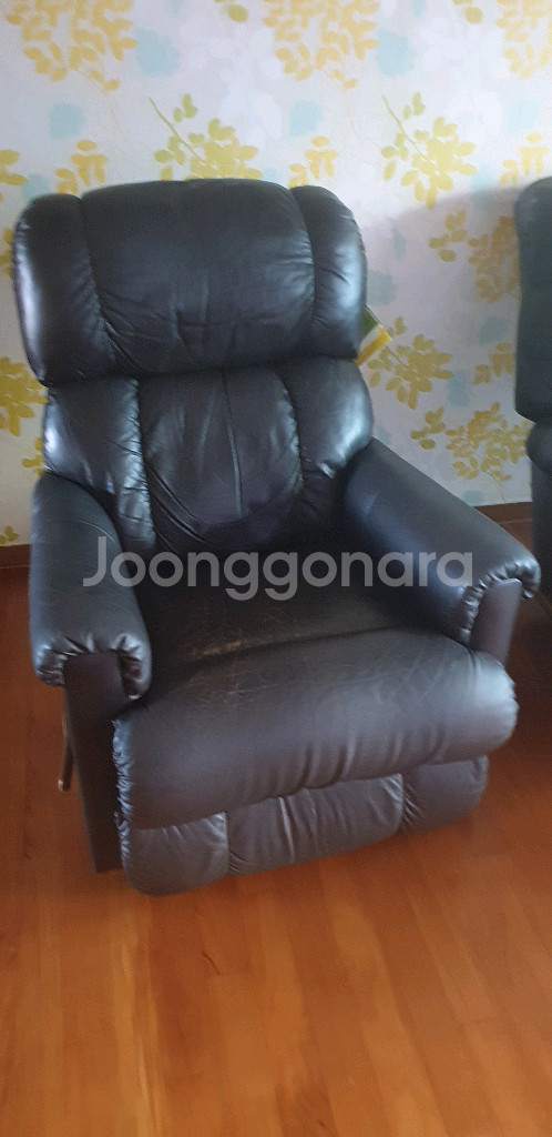 미국 레이지보이 깁슨, 조슈아, 피나클 총 3개 모두--1