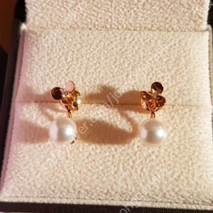 골든듀스웟블룸아코야진주귀걸이새제품미사용