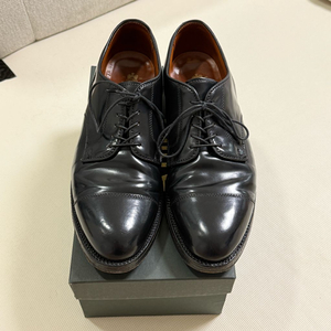 알든 코도반 스트레이트팁 더비 2161 10d(280)