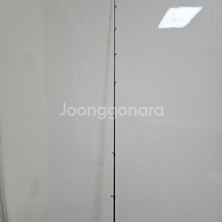 참돔 로드 시마노 염월 엑스튠 19--6