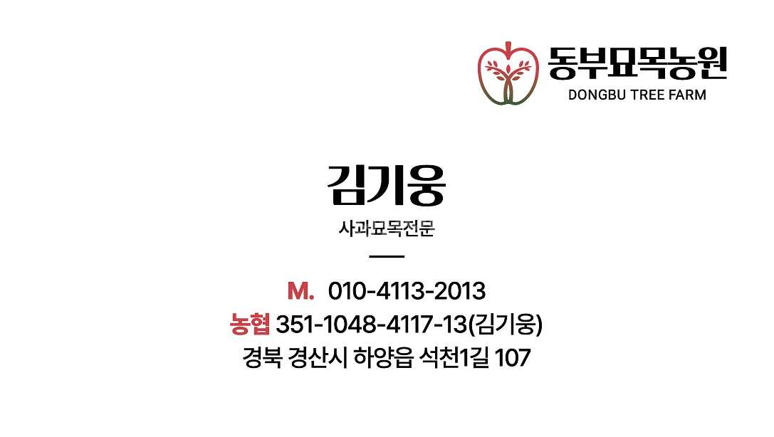 사과묘목 후브락스 후지 무병묘 경산동부묘목 자근묘 이중--2