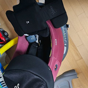 스완두 마리3 카시트