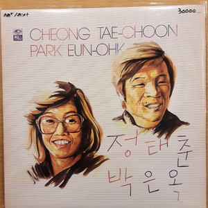 정태춘 lp