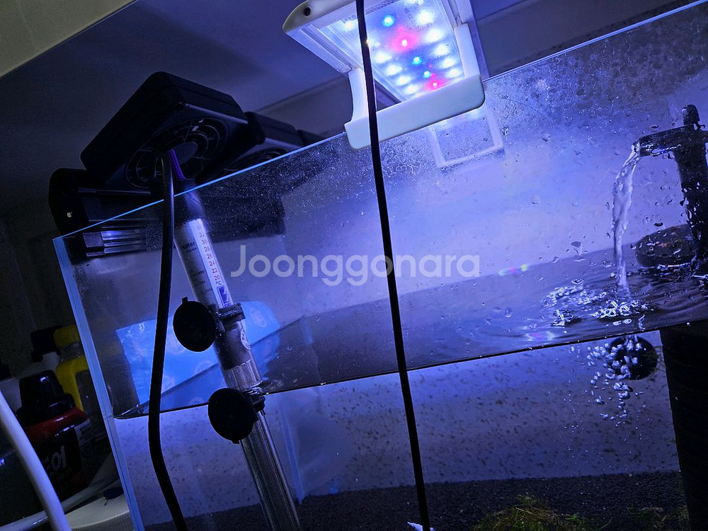 새우어항 세트 슈퍼화이트비--1