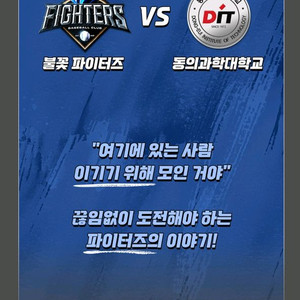 10/19 불꽃야구 탁자석 포수후면석 정가양도