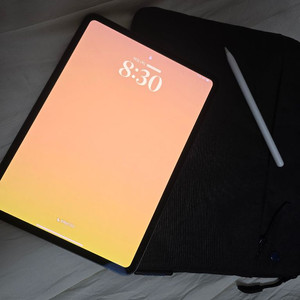 아이패드 프로 11인치 M4 256 wifi+ 펜슬프로