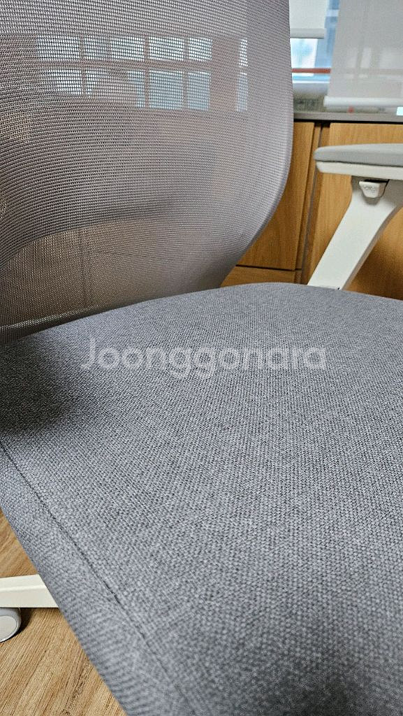 시디즈 T50 LDA--4