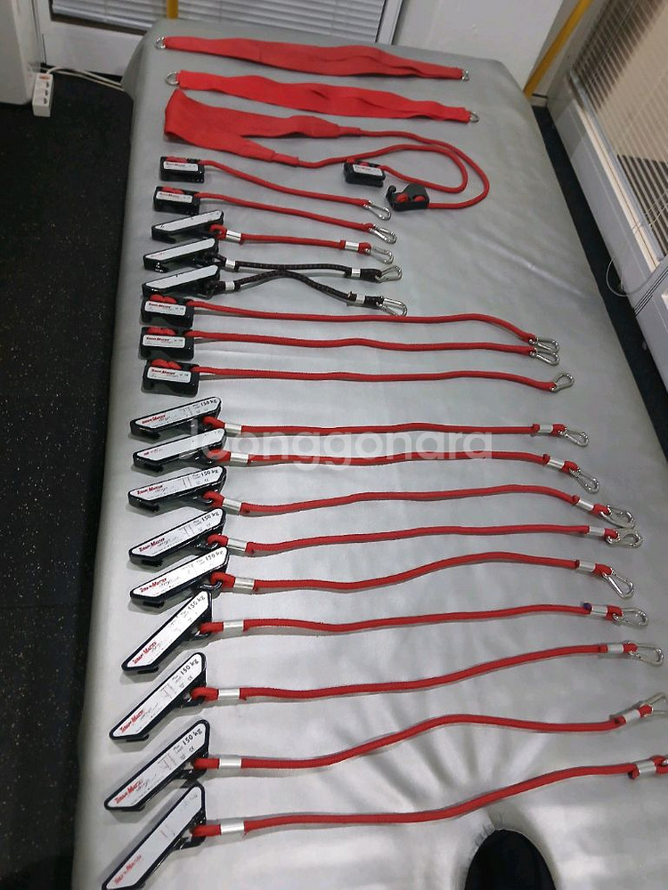 레드코드 노르딕 테라피 마스터 슬링--6