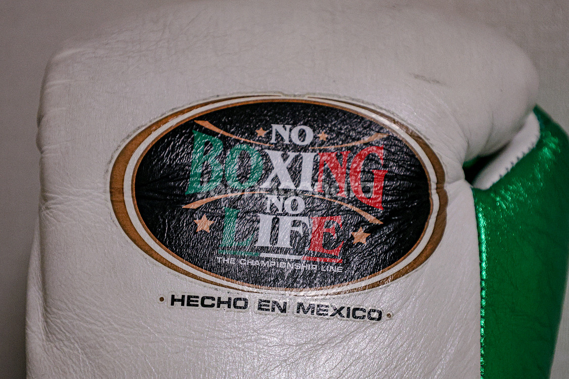 No Boxing No Life 10oz 복싱 글러브--3