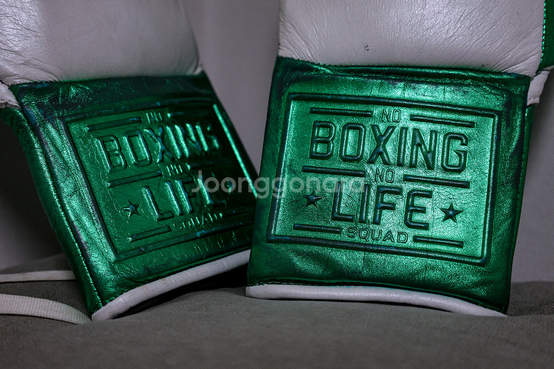No Boxing No Life 10oz 복싱 글러브--2
