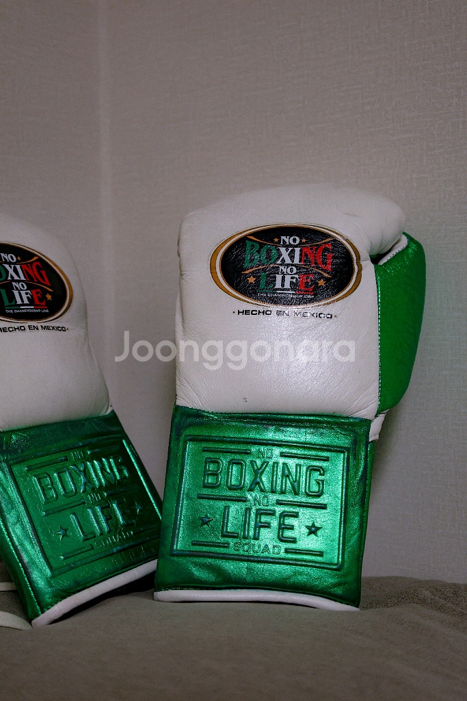 No Boxing No Life 10oz 복싱 글러브--1