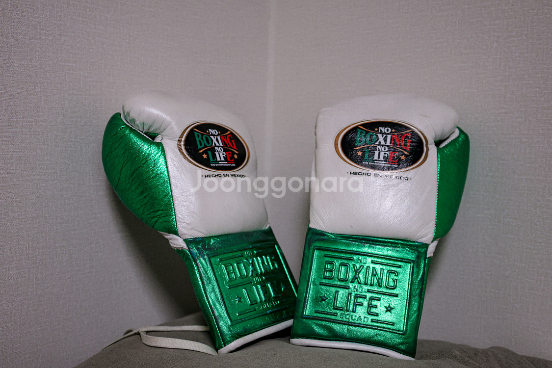 No Boxing No Life 10oz 복싱 글러브--0