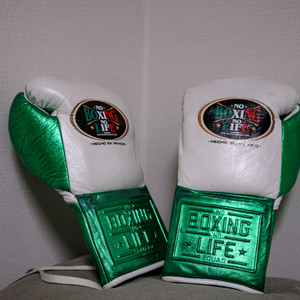No Boxing No Life 10oz 복싱 글러브