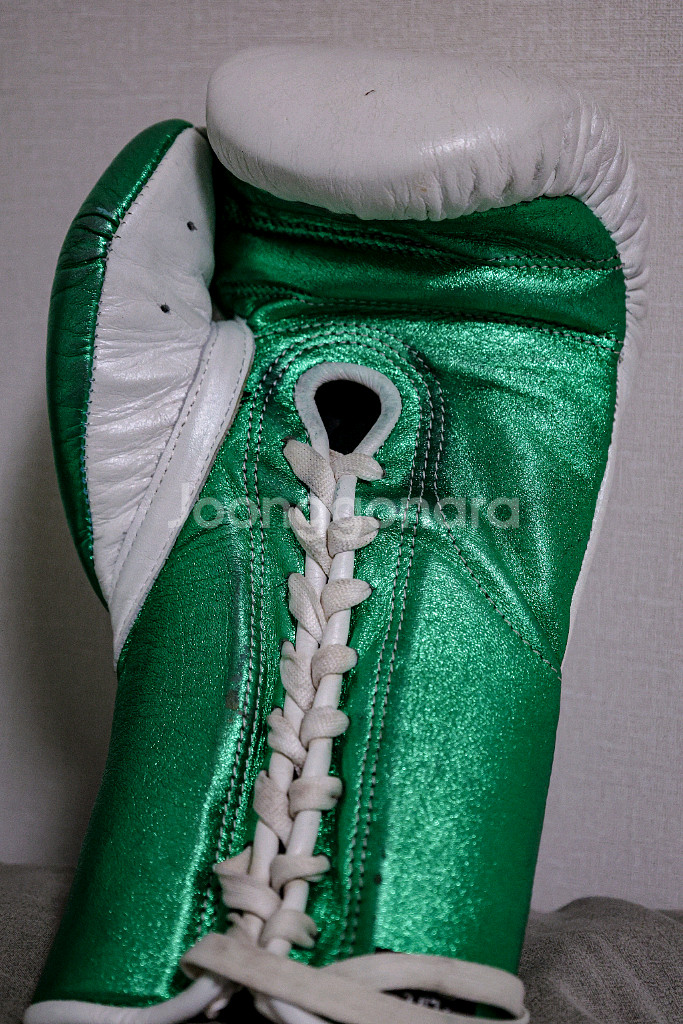 No Boxing No Life 10oz 복싱 글러브--4
