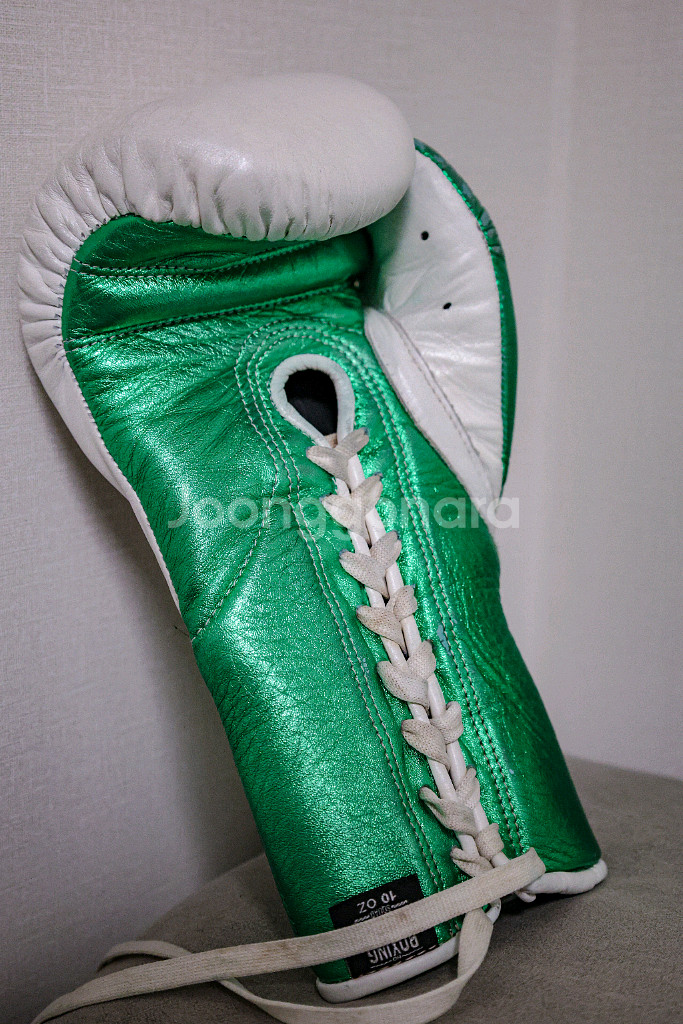 No Boxing No Life 10oz 복싱 글러브--5