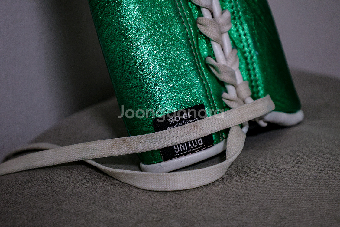 No Boxing No Life 10oz 복싱 글러브--6