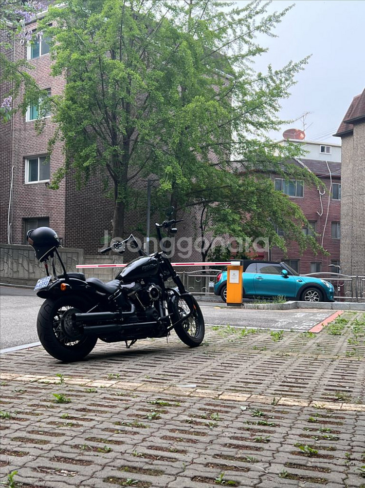 소프테일 스트리트밥 fxbb 20/ 15000k--4