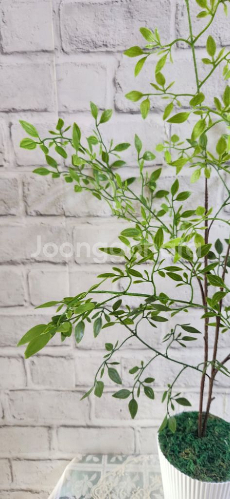 새상품)이케아 화분 싱그러운 화초 조화 인테리어 소품--4