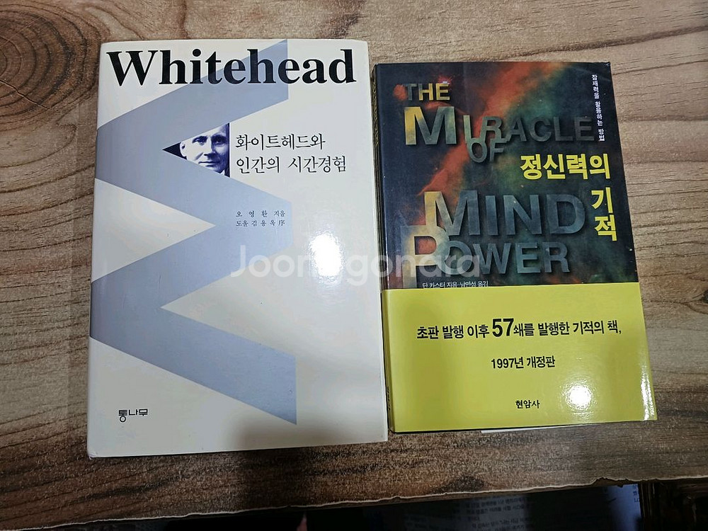 정신력의기적 / 화이트헤드와 인간의 시간경험.--0