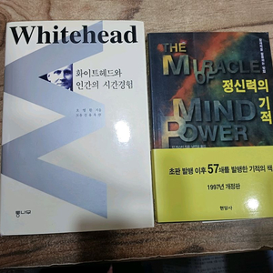 정신력의기적 / 화이트헤드와 인간의 시간경험.