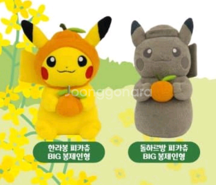 제주 x 포켓몬-한라봉/돌하르방 피카츄 BIG 봉제인형--0