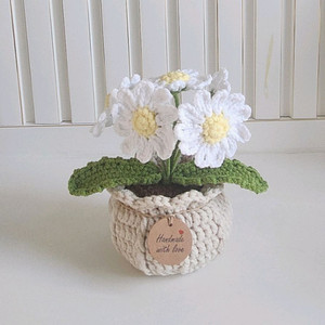 핸드메이드 데이지 화분