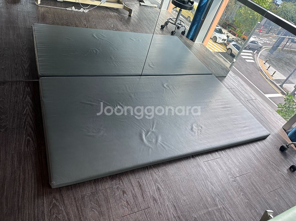 인바디 230+ 출력 프린터 및 유도 매트 팝니다--1