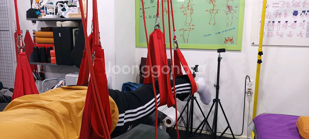 레드코드 노르딕 테라피 마스터 슬링--9