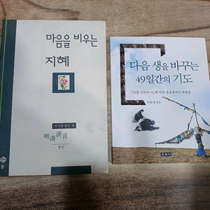 다음생을바꾸는 49일간의 기도.마음을 비우는 지혜(합)