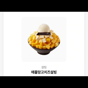 설빙애플망고치즈설빙 설빙 애플망고치즈설빙
