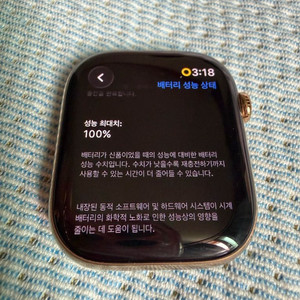 애플워치 10 셀룰러 골드 티타늄 46mm SS급